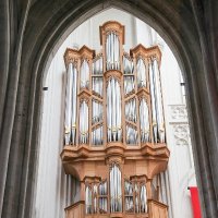 Onze-Lieve-Vrouwekathedraal te Antwerpen