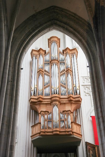 Onze-Lieve-Vrouwekathedraal te Antwerpen