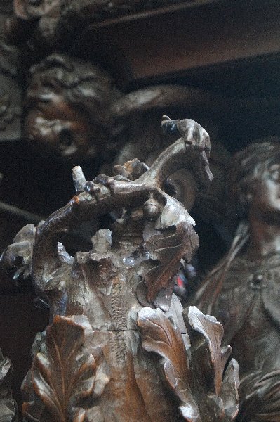 dsc00231