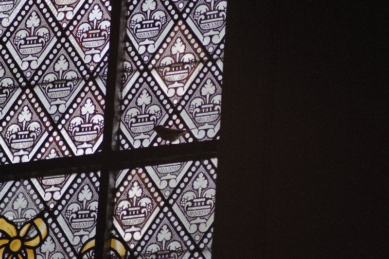 Destelbergen, OLV-kerk. Parus major, Koolmees.