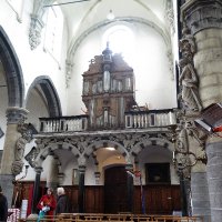 Het orgel van de Sint-Elisabethkerk