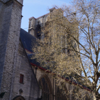 DSC02813